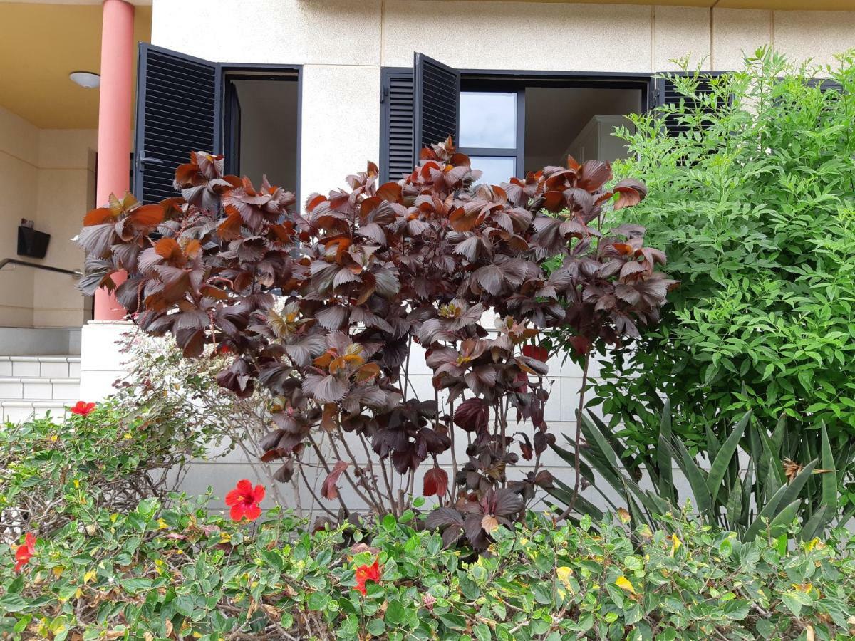 Appartement Salineta's *